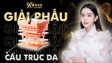 GIẢI PHẪU DA.jpg