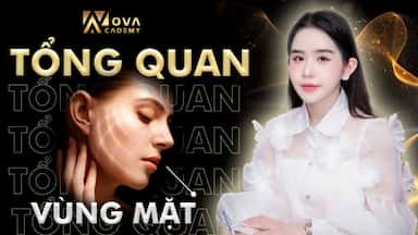 GIẢI PHẪU MẶT.jpg