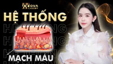 MẠCH MÁU.jpg