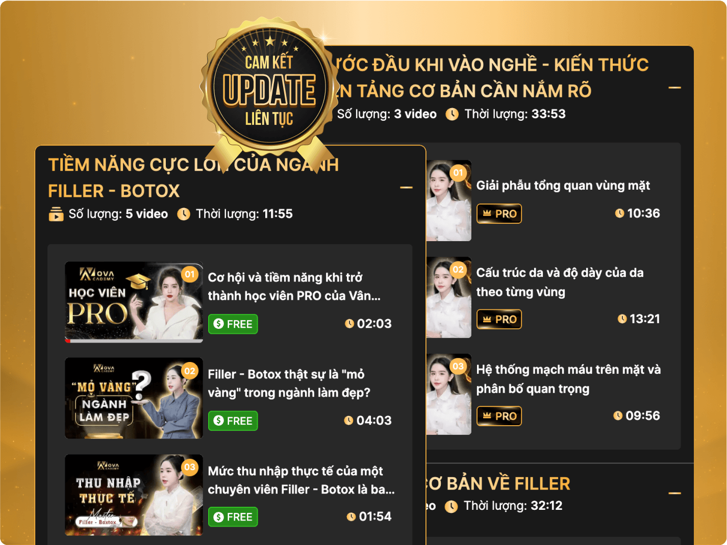 <span class='txt-hl udl-hl'>Truy cập trọn đời, nội dung học mọi lúc, mọi nơi, không giới hạn, </span> cập nhật liên tục các kỹ thuật & xu hướng mới nhất